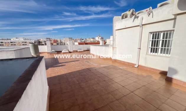 Venta - Apartamento / piso - Guardamar del Segura