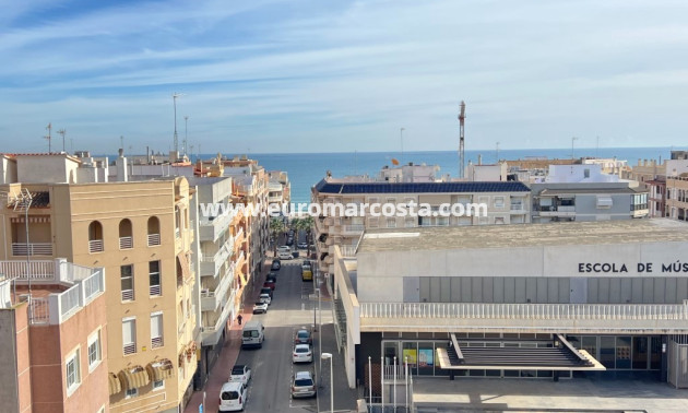 Venta - Apartamento / piso - Guardamar del Segura