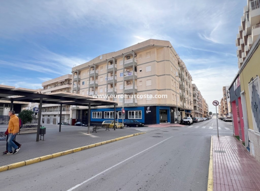 Venta - Apartamento / piso - Guardamar del Segura