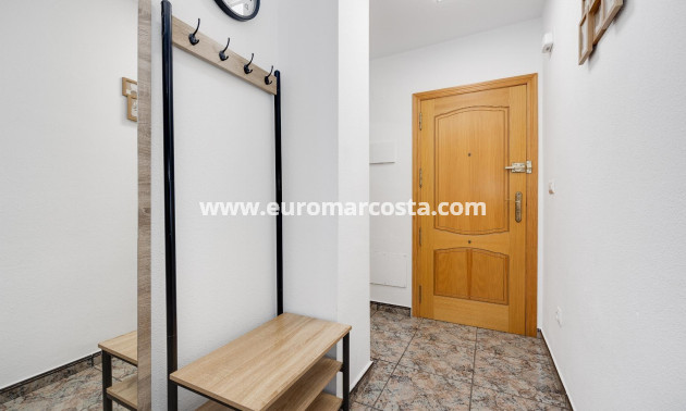 Sale - Apartment / flat - Torrevieja - TORREVIEJA