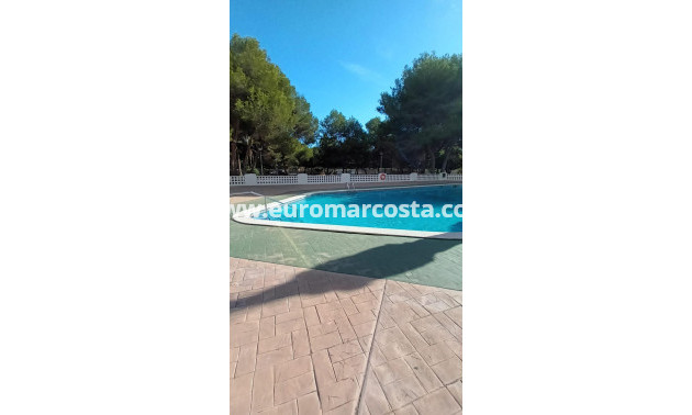 Sale - Apartment / flat - Orihuela Costa