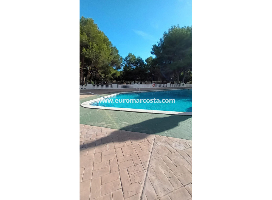 Sale - Apartment / flat - Orihuela Costa