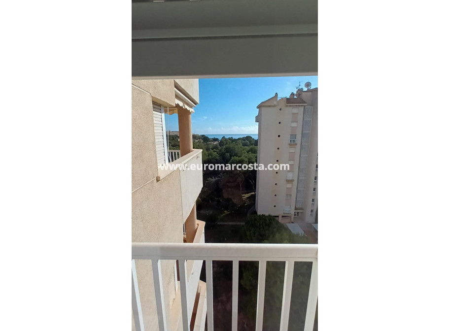 Sale - Apartment / flat - Orihuela Costa