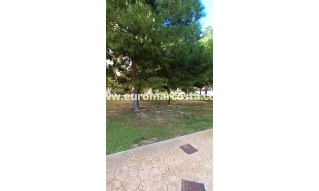 Sale - Apartment / flat - Orihuela Costa