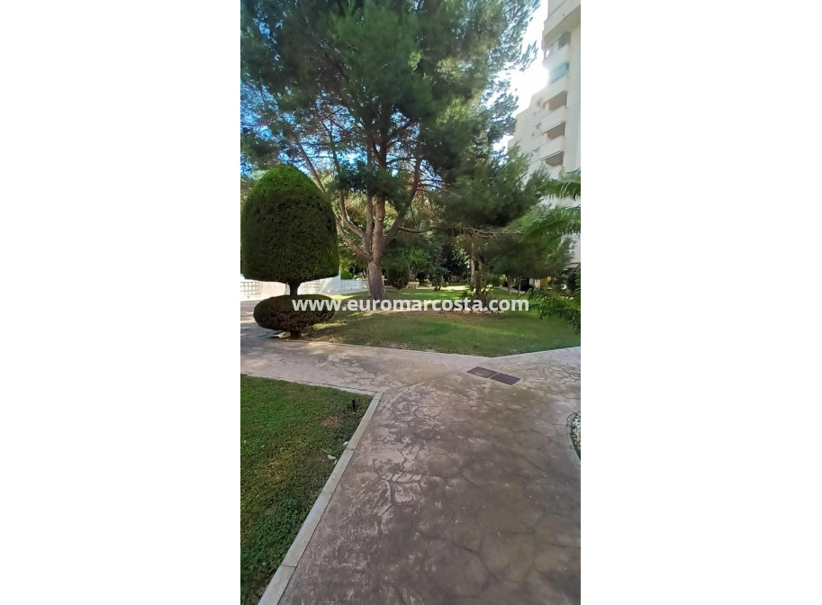 Sale - Apartment / flat - Orihuela Costa