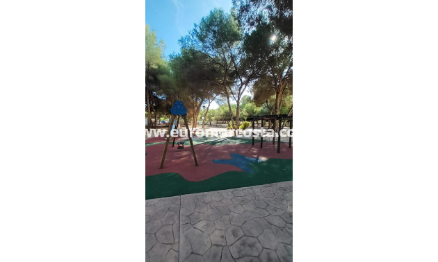 Sale - Apartment / flat - Orihuela Costa