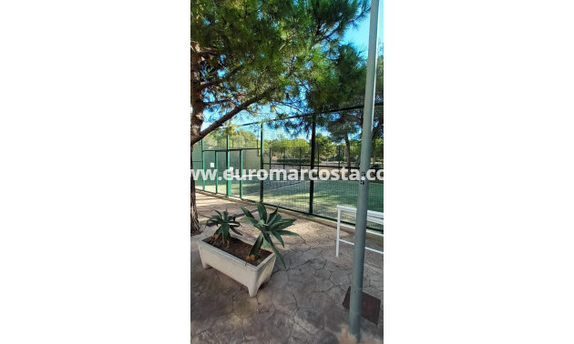 Sale - Apartment / flat - Orihuela Costa