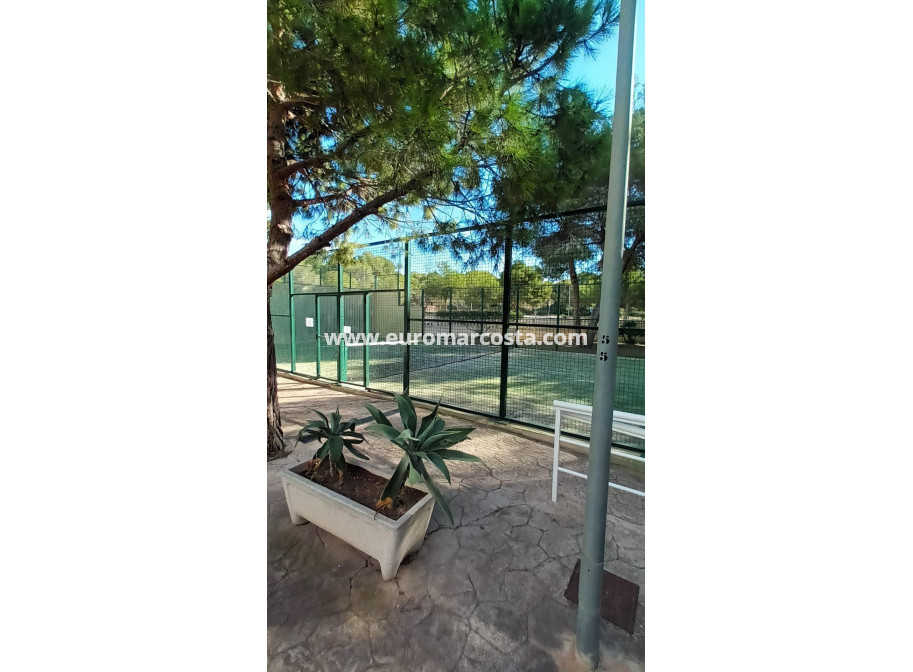 Sale - Apartment / flat - Orihuela Costa