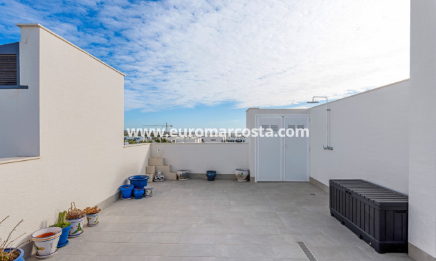 Sale - Apartment / flat - Guardamar del Segura - El Raso