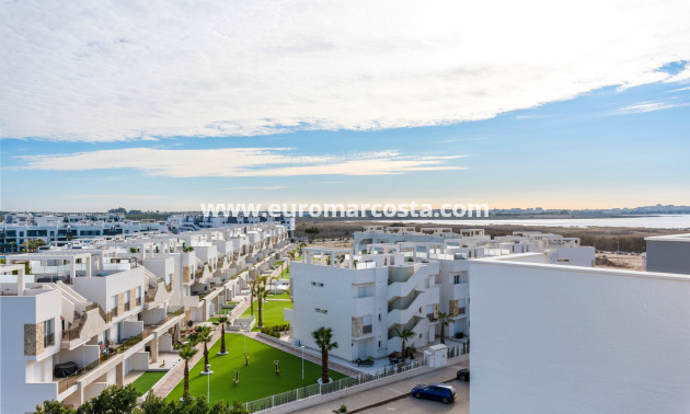 Venta - Apartamento / piso - Guardamar del Segura - El Raso