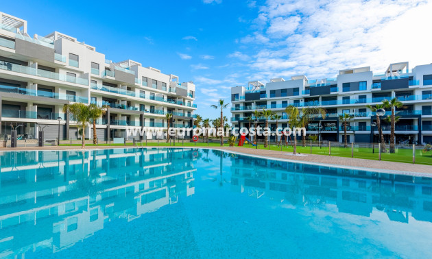 Sale - Apartment / flat - Guardamar del Segura - El Raso