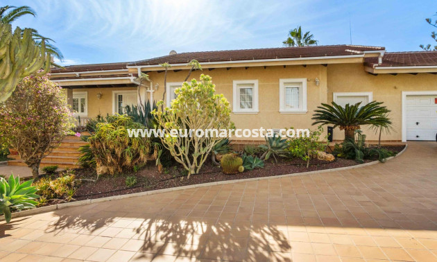 Sale - Villa - Orihuela Costa