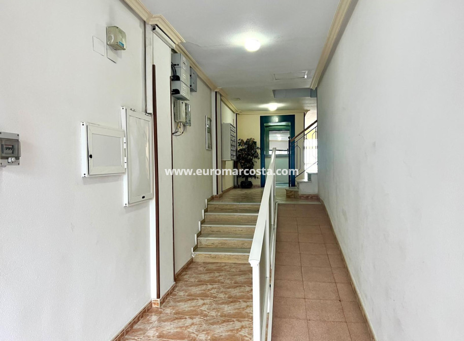 Sale - Apartment / flat - Torrevieja - TORREVIEJA