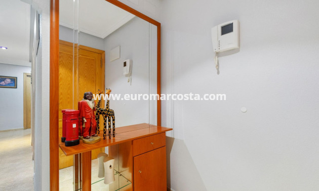 Sale - Apartment / flat - Torrevieja - TORREVIEJA