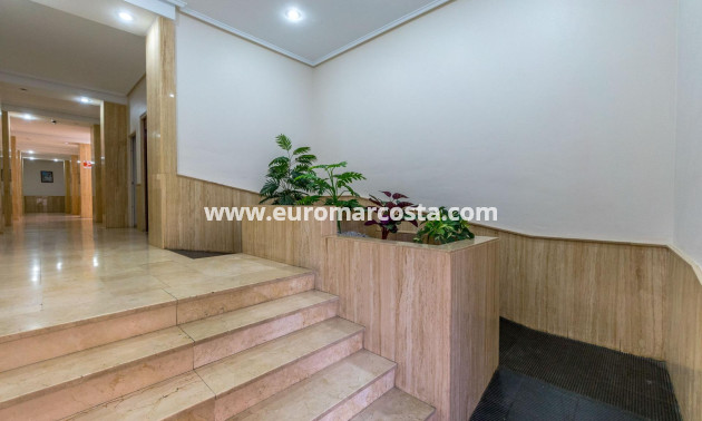 Sale - Apartment / flat - Torrevieja - TORREVIEJA