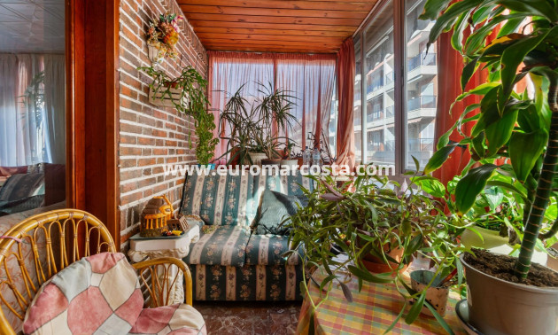 Sale - Apartment / flat - Torrevieja - TORREVIEJA