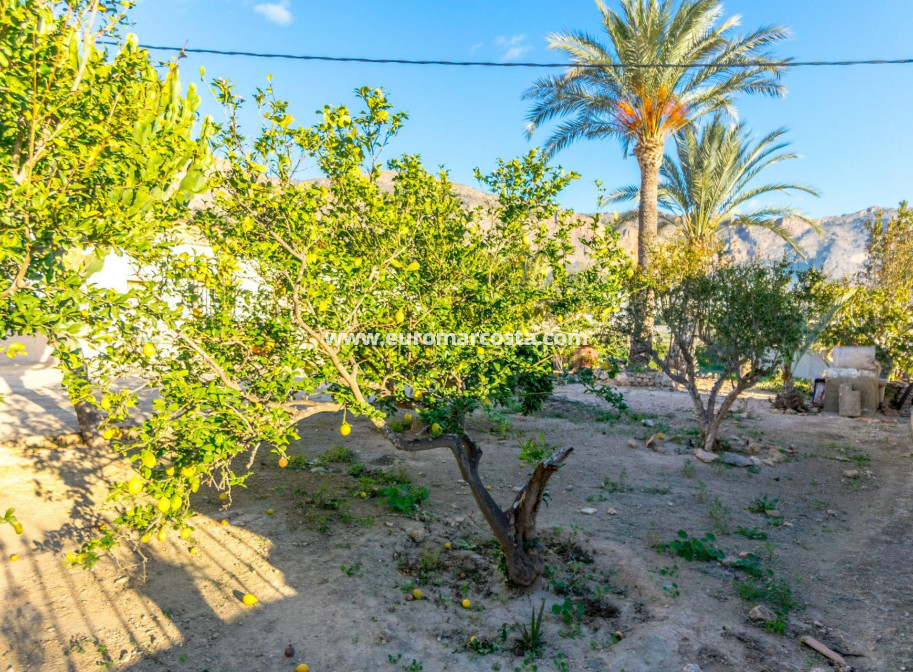 Objekte zum Wiederverkauf - Landhaus - Orihuela - Raiguero de Bonanza