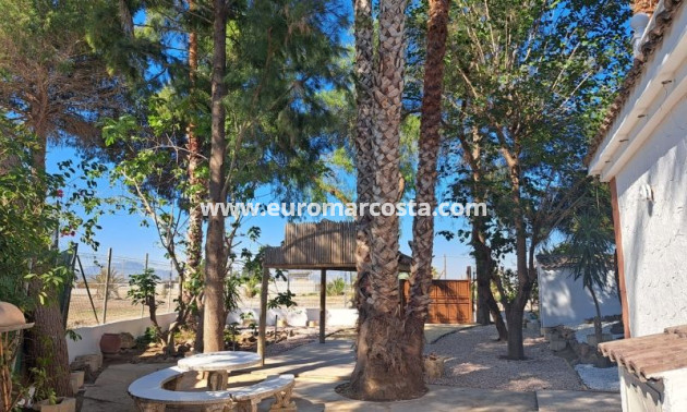Venta - Casa de campo - Orihuela