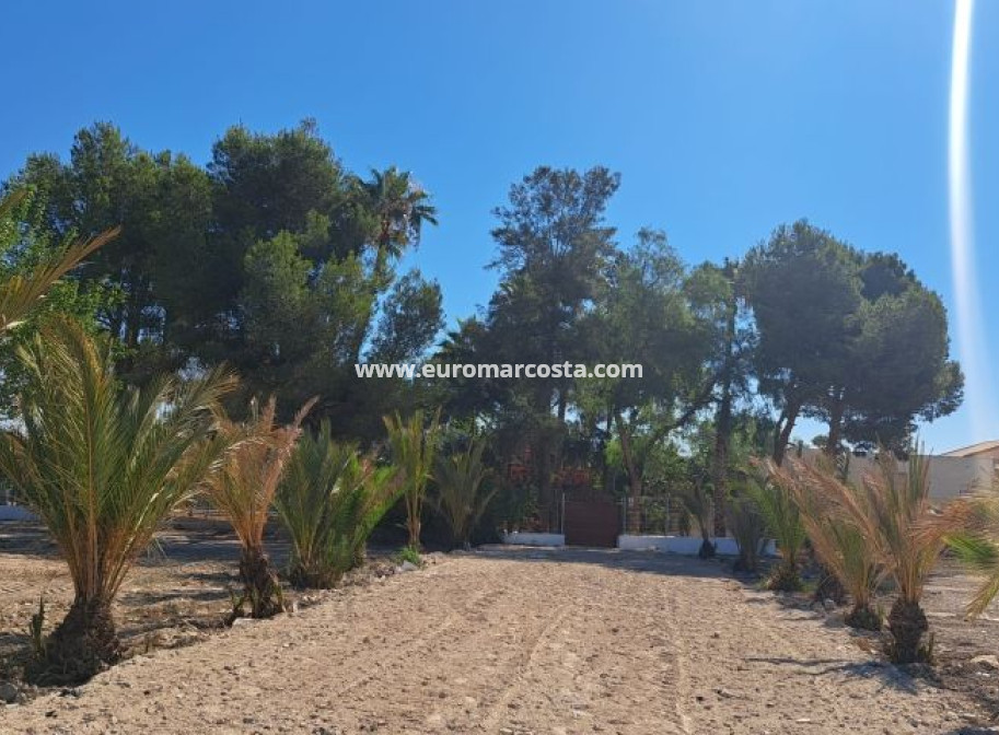 Venta - Casa de campo - Orihuela