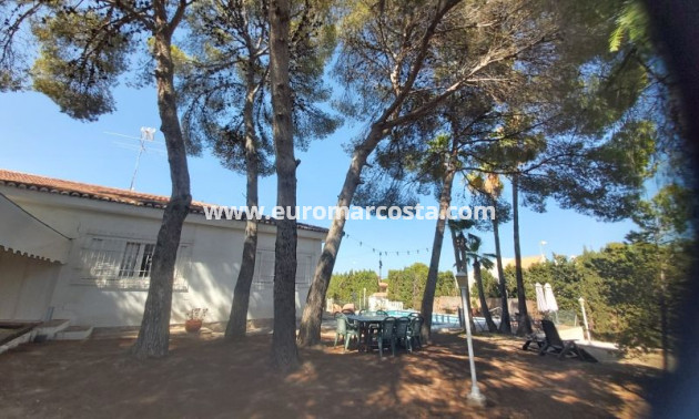 Venta - Villa - Torrevieja - TORREVIEJA