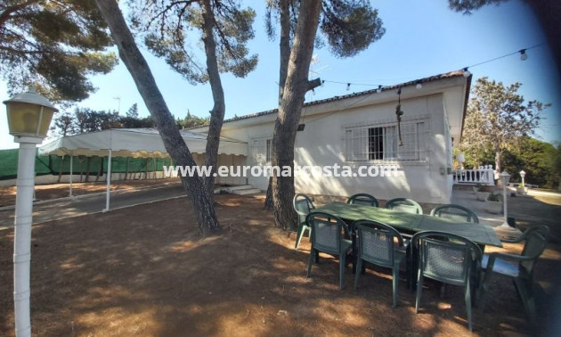 Venta - Villa - Torrevieja - TORREVIEJA