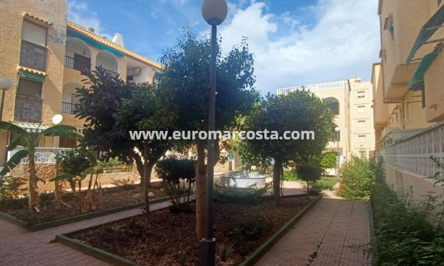 Objekte zum Wiederverkauf - Bungalow - Torrevieja - TORREVIEJA