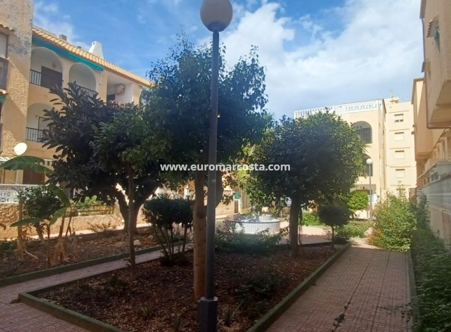 Objekte zum Wiederverkauf - Bungalow - Torrevieja - TORREVIEJA