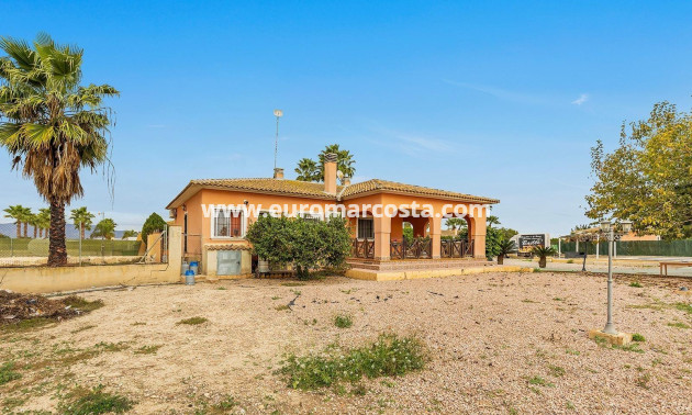 Objekte zum Wiederverkauf - Villa freitstehend - Dolores - Comunidad valenciana