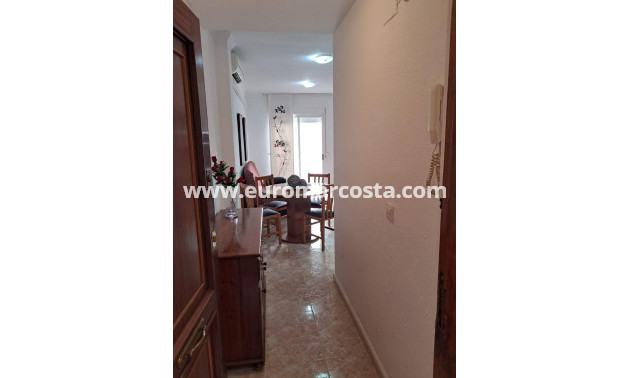 Venta - Apartamento / piso - Torrevieja - TORREVIEJA