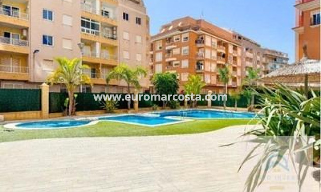 Venta - Apartamento / piso - Torrevieja - TORREVIEJA