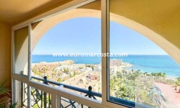 Venta - Apartamento / piso - Torrevieja - TORREVIEJA