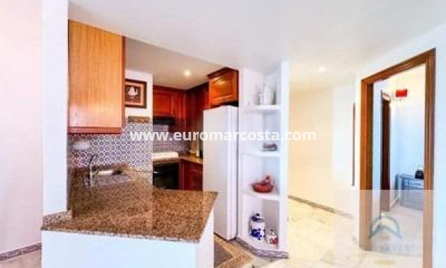 Venta - Apartamento / piso - Torrevieja - TORREVIEJA