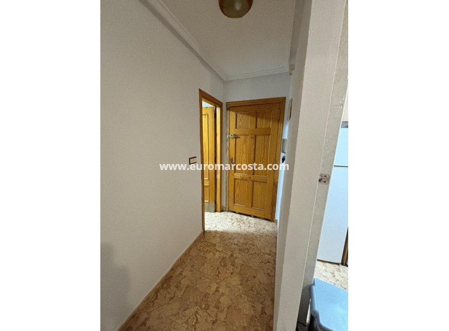 Venta - Apartamento / piso - Torrevieja - TORREVIEJA