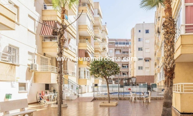 Venta - Apartamento / piso - Torrevieja - TORREVIEJA