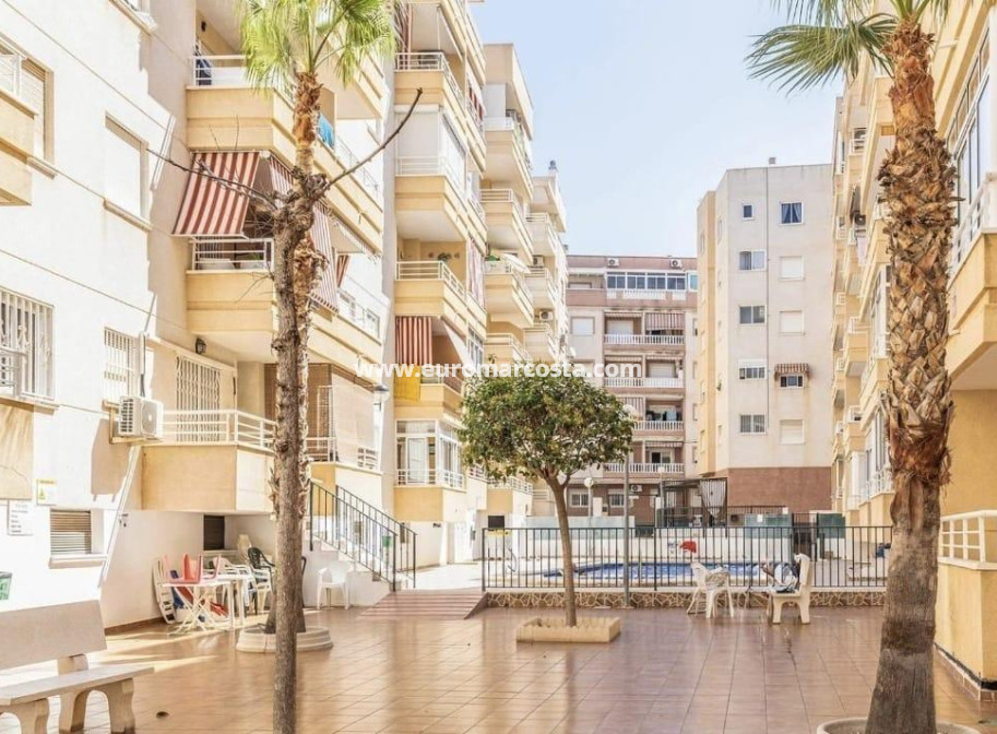 Venta - Apartamento / piso - Torrevieja - TORREVIEJA