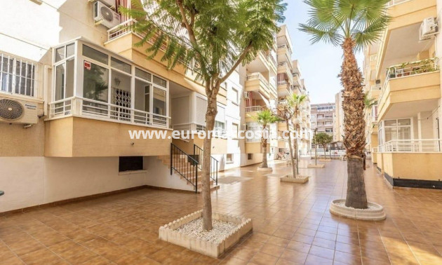 Venta - Apartamento / piso - Torrevieja - TORREVIEJA