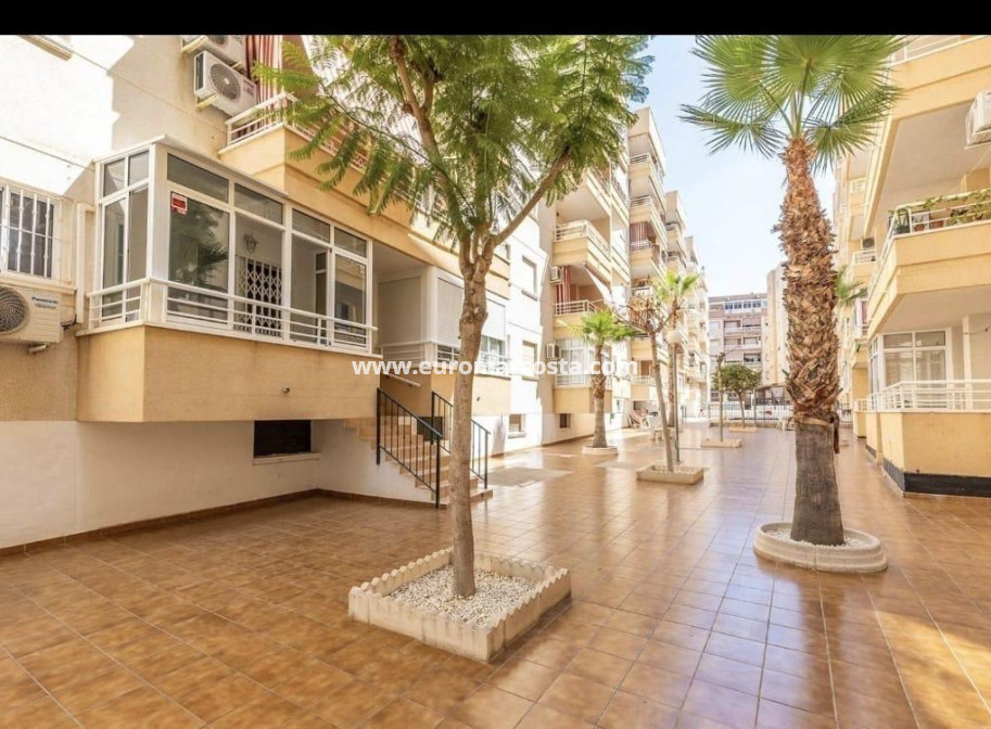 Venta - Apartamento / piso - Torrevieja - TORREVIEJA