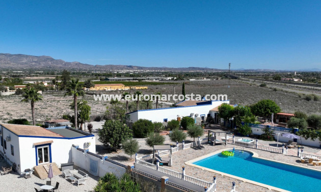 Sale - Country house - Crevillent - Comunidad valenciana