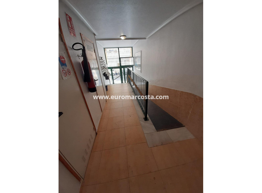 Objekte zum Wiederverkauf - Wohnung - Torrevieja - TORREVIEJA