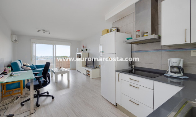 Sale - Apartment / flat - Torrevieja - TORREVIEJA