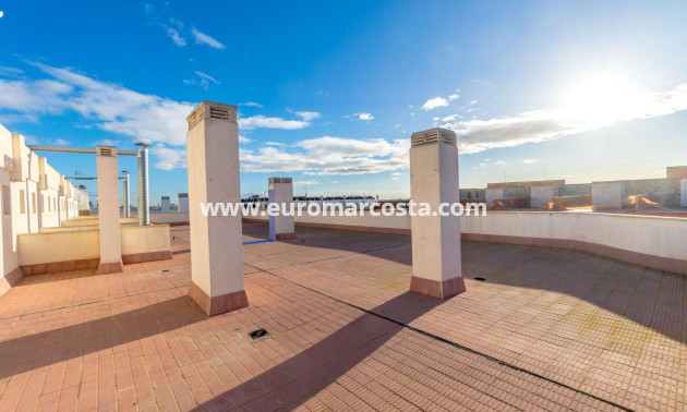 Venta - Apartamento / piso - Almoradi - Las maromas