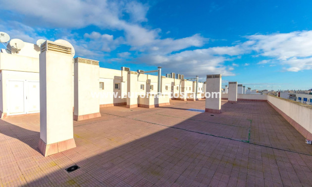 Venta - Apartamento / piso - Almoradi - Las maromas