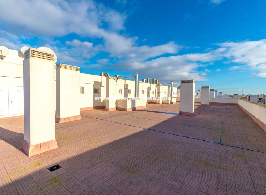 Venta - Apartamento / piso - Almoradi - Las maromas