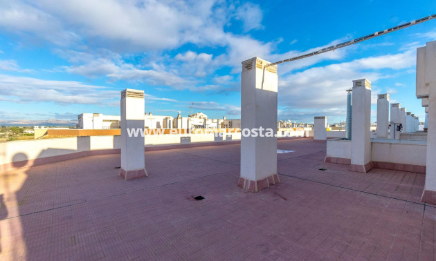 Venta - Apartamento / piso - Almoradi - Las maromas