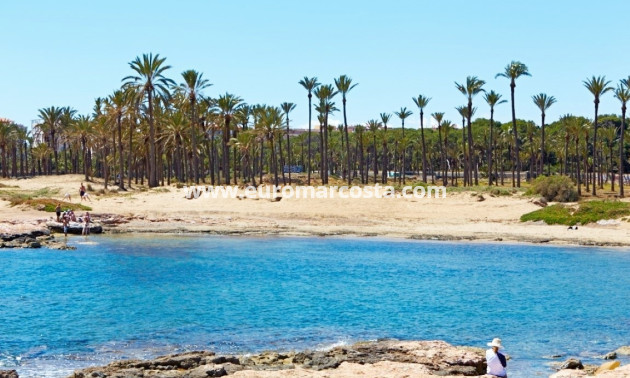 Objekte zum Wiederverkauf - Bungalow Planta Baja - Torrevieja