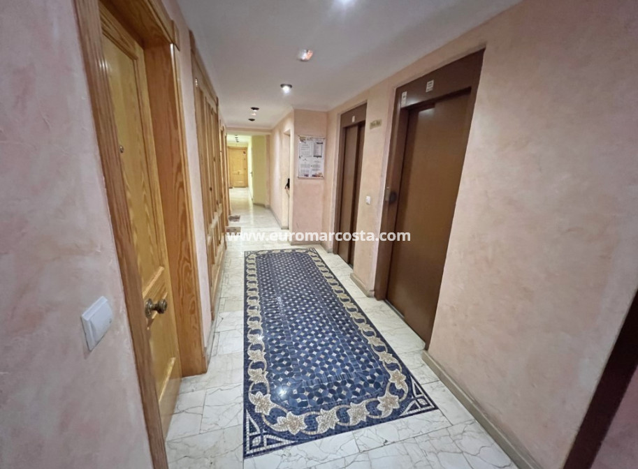 Sale - Apartment / flat - Guardamar del Segura