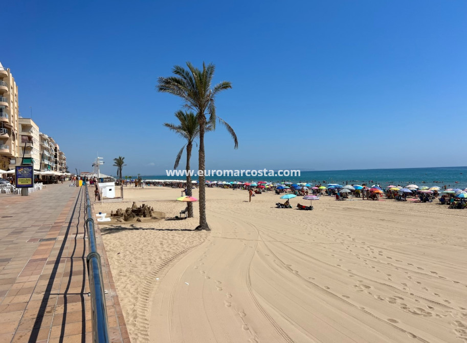 Venta - Apartamento / piso - Torrevieja - TORREVIEJA