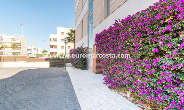 Venta - Apartamento / piso - Orihuela Costa