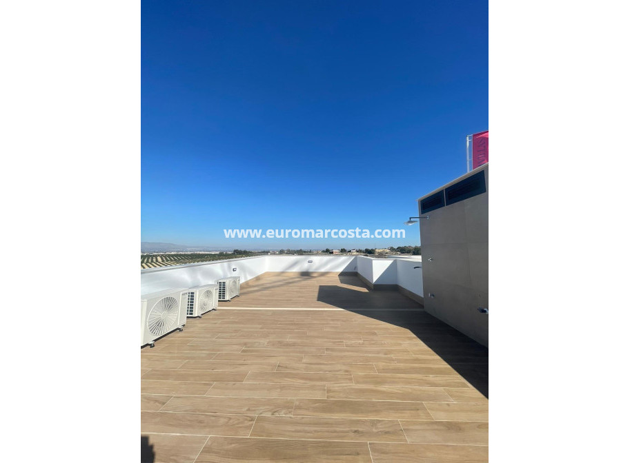 Sale - Villa - Algorfa - Comunidad valenciana