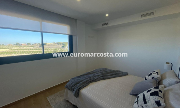 Sale - Villa - Algorfa - Comunidad valenciana